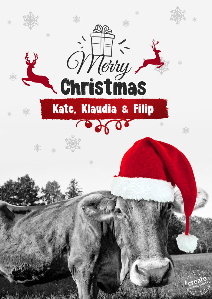 Cow - Merry Christmas Kate, Klaudia & Filip