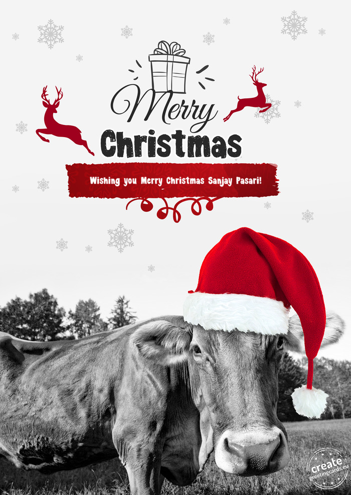 Cow - Merry Christmas Wishing you Merry Christmas Sanjay Pasari