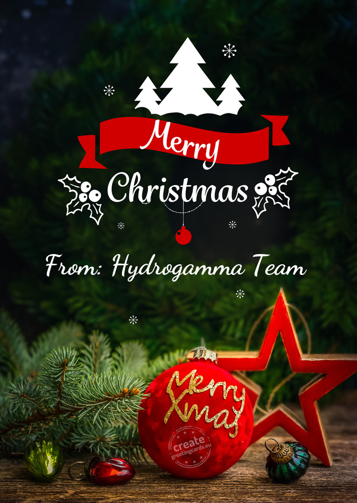 From: Hydrogamma Team