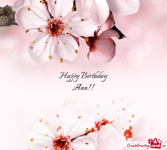 Happy Birthday
 Ann