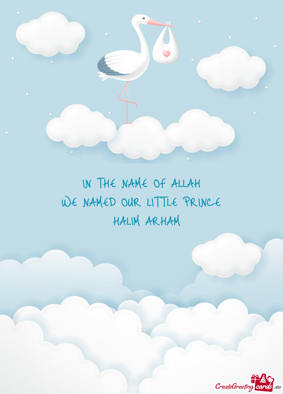 IN THE NAME OF ALLAH WE NAMED OUR LITTLE PRINCE HALIM ARHAM