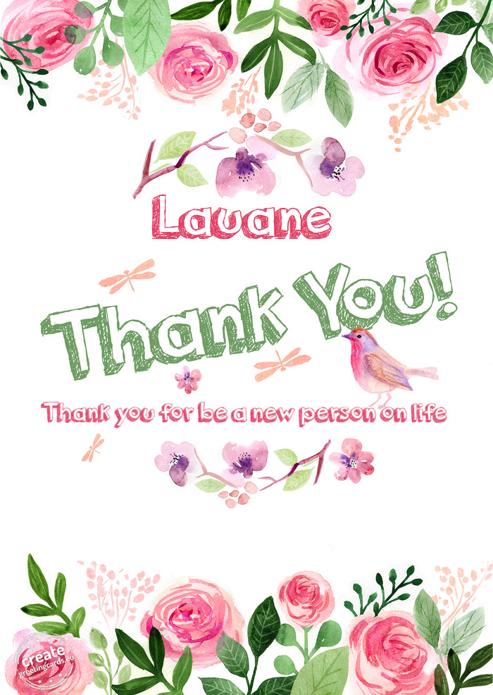 Lauane Thank you Thank you for be a new person on life