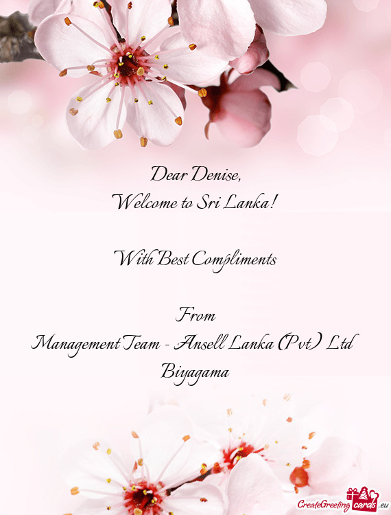 Management Team - Ansell Lanka (Pvt) Ltd
