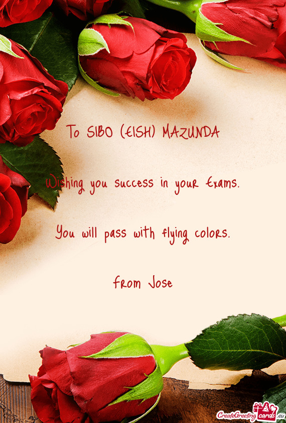 To SIBO (EISH) MAZUNDA
 
 Wishing you success in your Exams