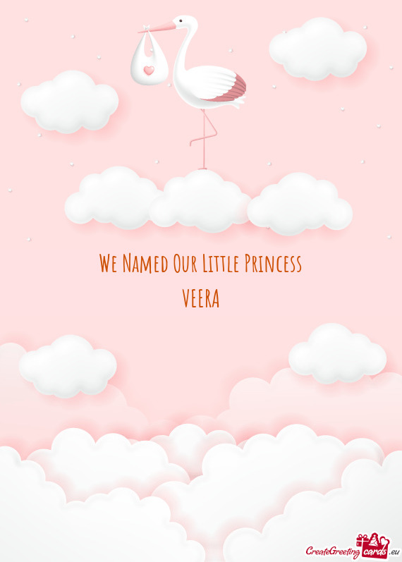 We Named Our Little Princess VEERA