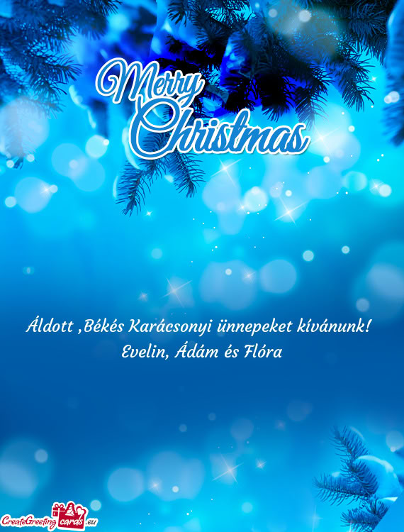 Áldott ,Békés Karácsonyi ünnepeket kívánunk