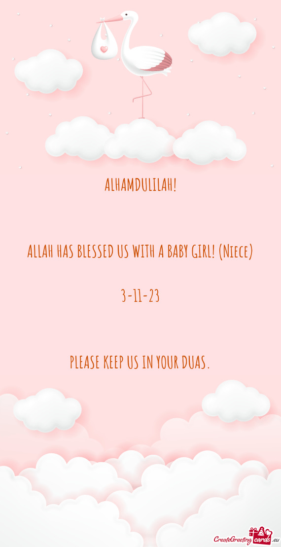 ALHAMDULILAH!  ALLAH HAS BLESSED US WITH A BABY GIRL! (Niece)  3-11-23  PLEASE KEEP US I