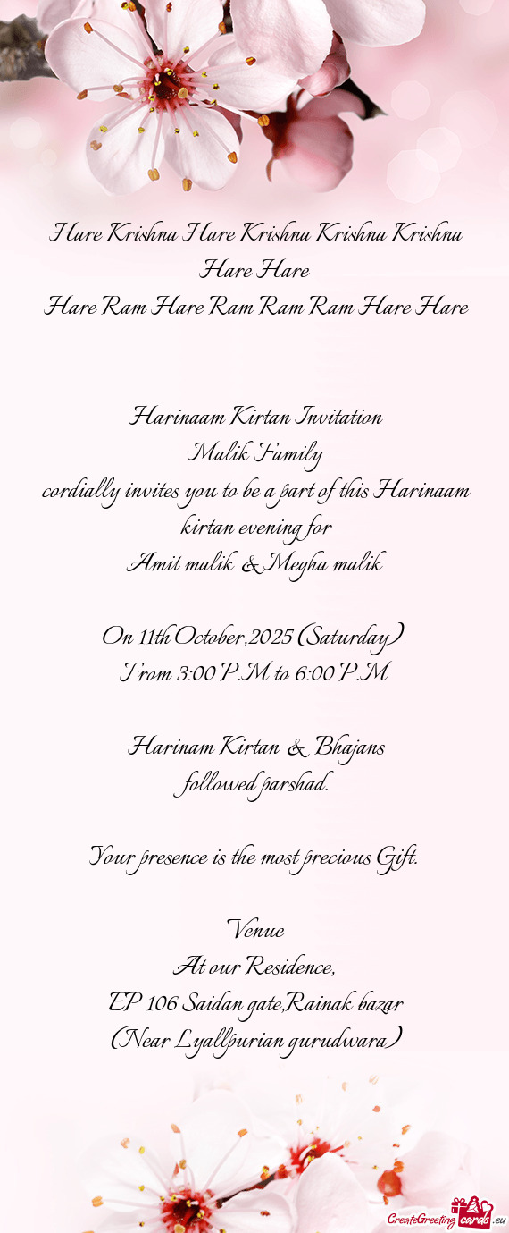 Amit malik & Megha malik