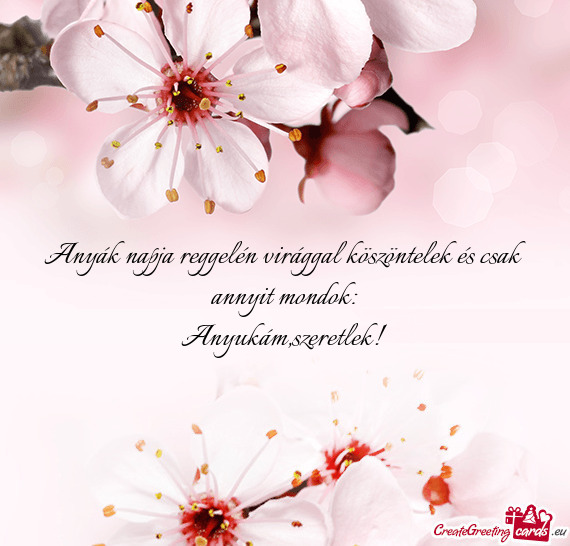 Anyák napja reggelén virággal köszöntelek és csak annyit mondok