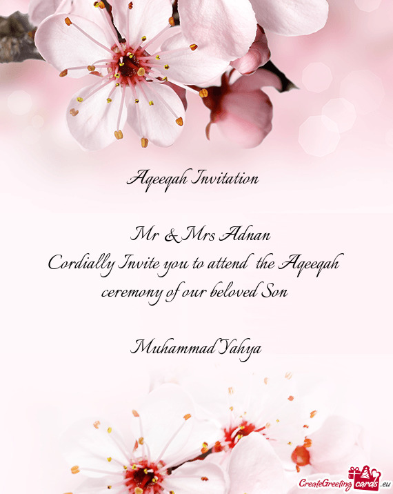 Aqeeqah Invitation  Mr & Mrs Adnan Cordially Invite you to attend the Aqeeqah ceremony of ou