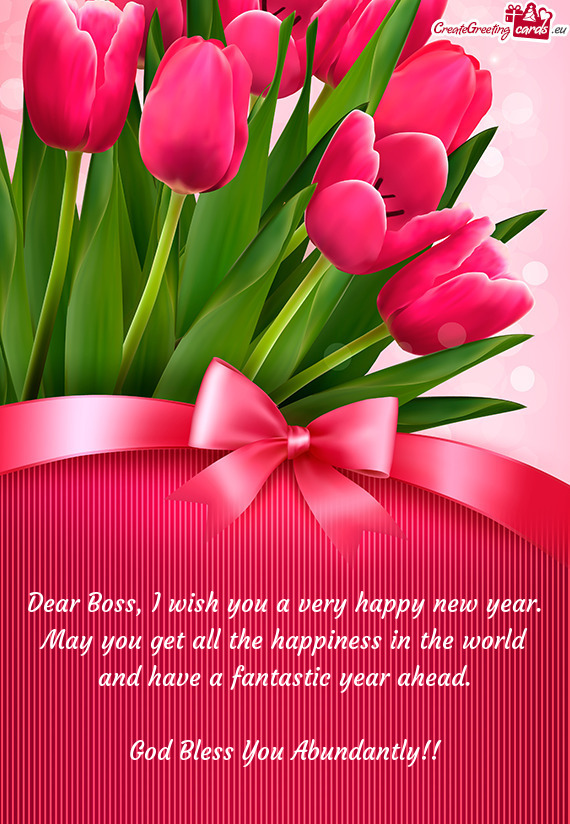 Dear Boss, I wish you a very happy new year. May you get all the happiness in the world and have a f