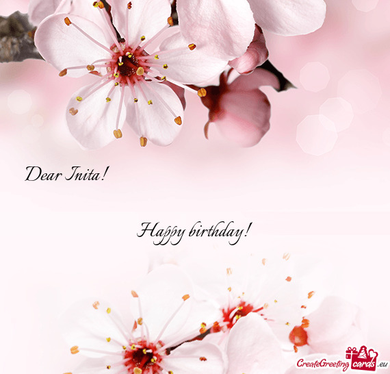 Dear Inita!                 Happy birthday