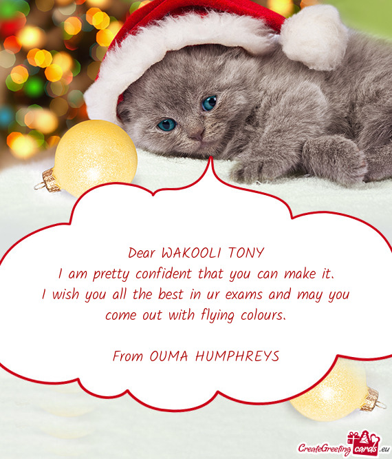 Dear WAKOOLI TONY