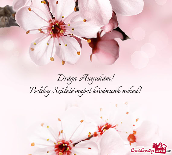 Drága Anyukám! Boldog Születésnapot kívánunk neked
