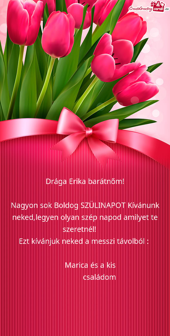 Drága Erika barátnőm