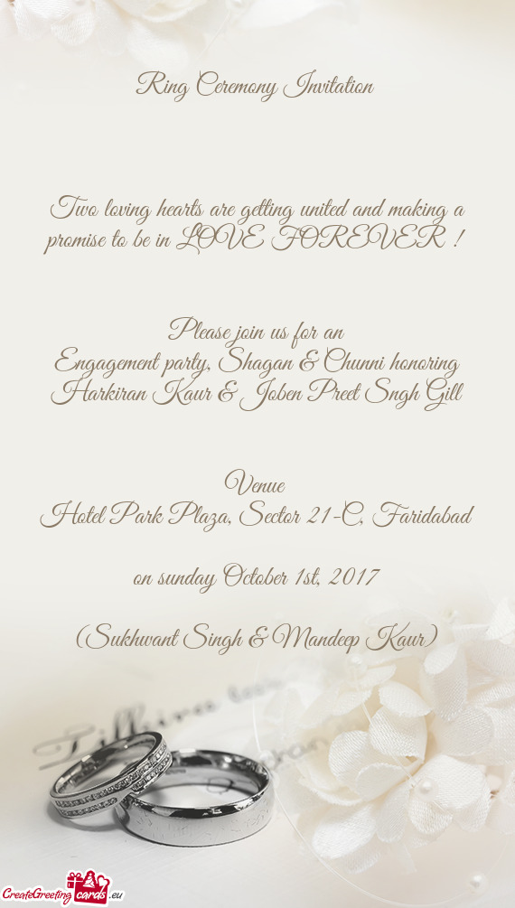Engagement party, Shagan & Chunni honoring