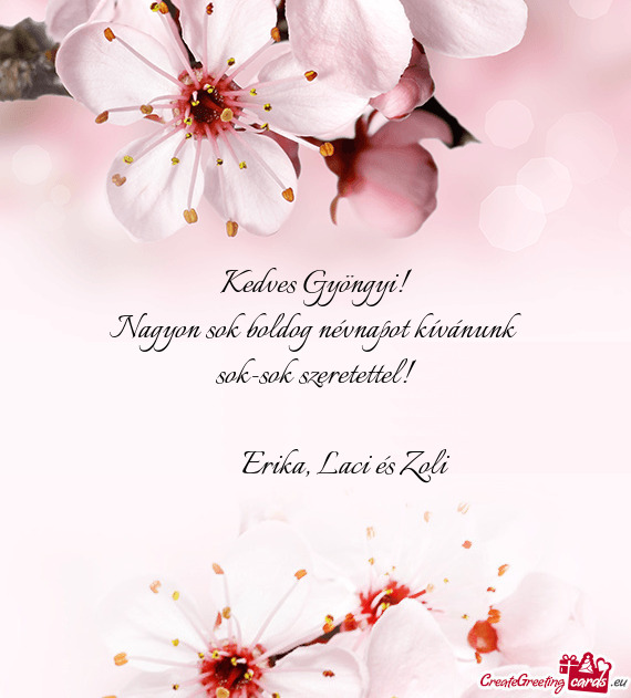 Erika, Laci és Zoli