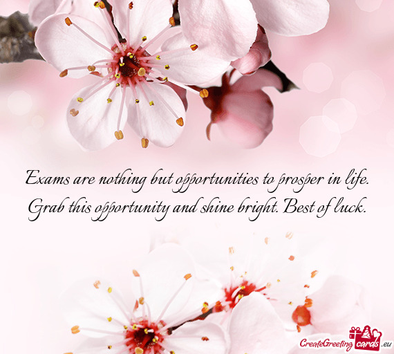Exams are nothing but opportunities to prosper in life. Grab this opportunity and shine bright. Best
