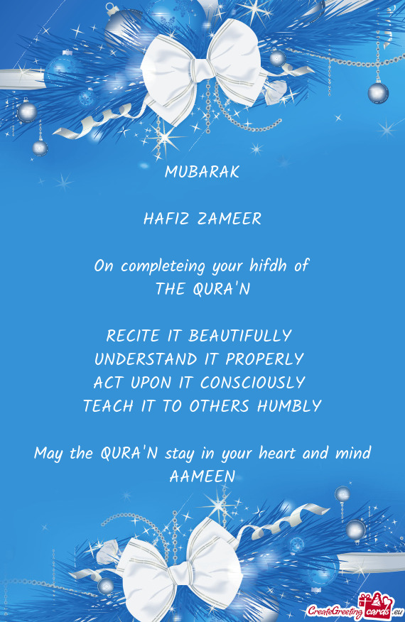 HAFIZ ZAMEER