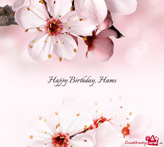 Happy Birthday, Hams
