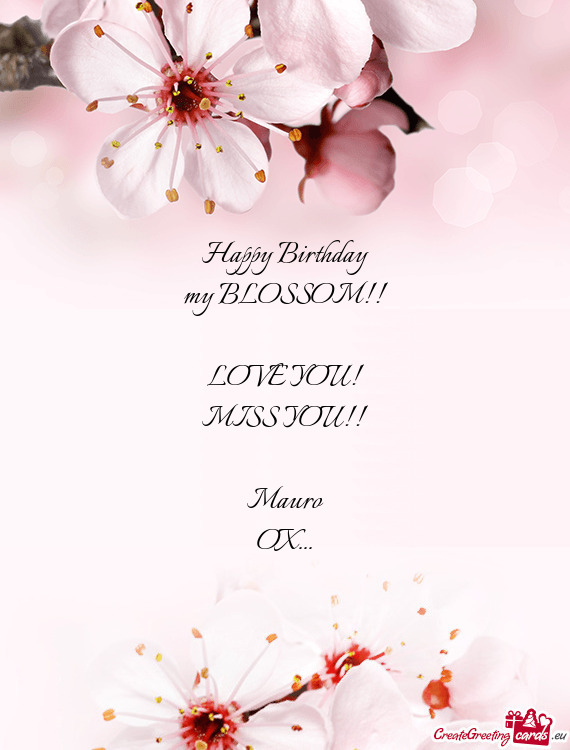 Happy Birthday my BLOSSOM!! LOVE YOU! MISS YOU!! Mauro OX