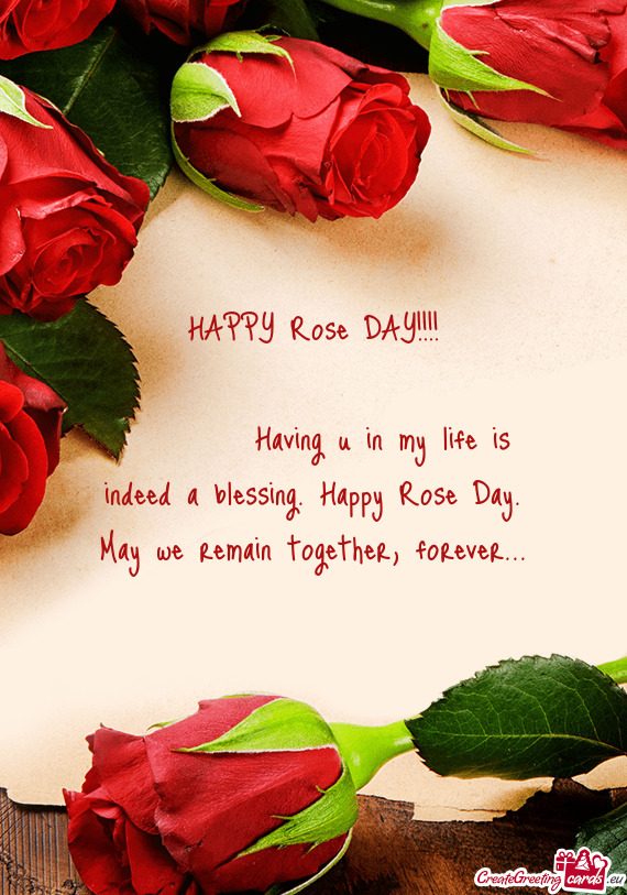 HAPPY Rose DAY!!!!
    
   Having u in my life is indeed a blessing
