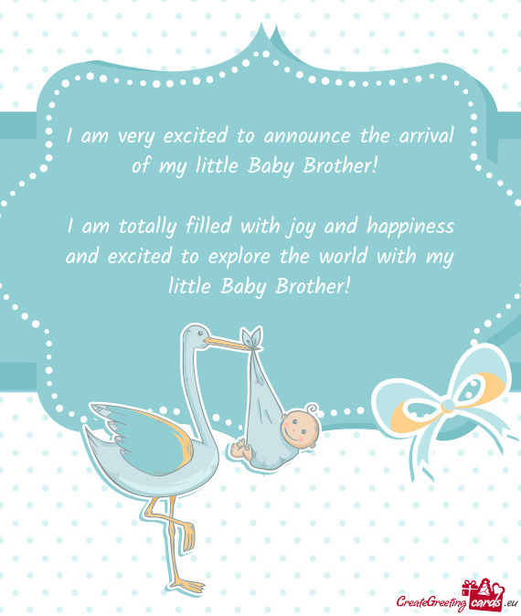 I am very excited to announce the arrival of my little Baby Brother