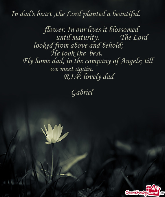 In dad's heart ,the Lord planted a beautiful.      flower. In our lives it blossomed