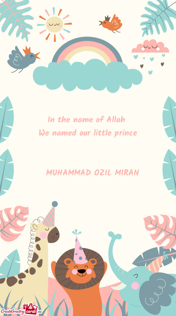 In the name of Allah We named our little prince   MUHAMMAD OZIL MIRAN