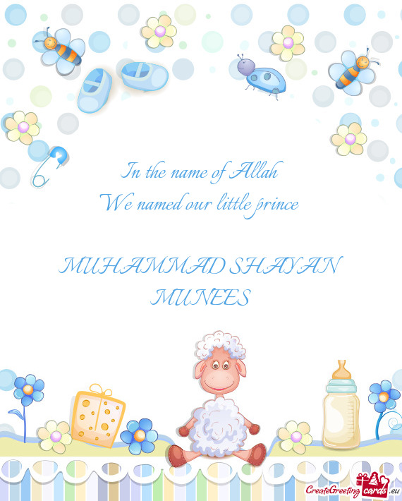 In the name of Allah We named our little prince  MUHAMMAD SHAYAN MUNEES