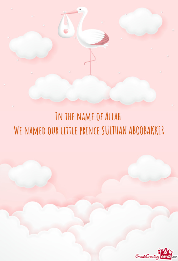 In the name of Allah   We named our little prince SULTHAN ABOOBAKKER 😘