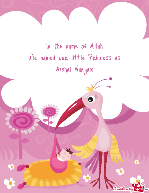 In the name of Allah We named our little Princess as Aishal Maryam