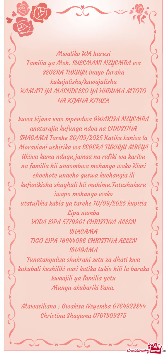 KAMATI YA MAENDELEO YA HUDUMA MTOTO NA KIJANA KITULA