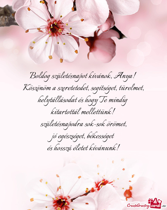 Köszönöm a szeretetedet, segítséget, türelmet, helytállásodat és hogy Te mindig