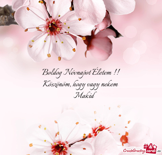 Köszönöm, hogy vagy nekem