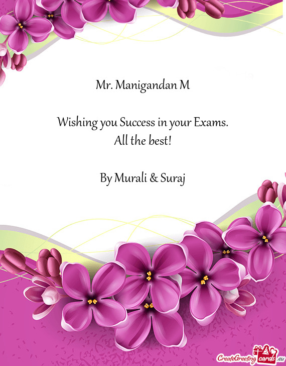 Mr. Manigandan M