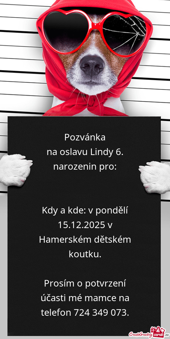 Na oslavu Lindy 6. narozenin pro