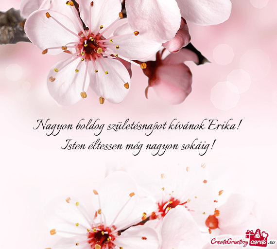 Nagyon boldog születésnapot kívánok Erika! Isten éltessen még nagyon sokáig
