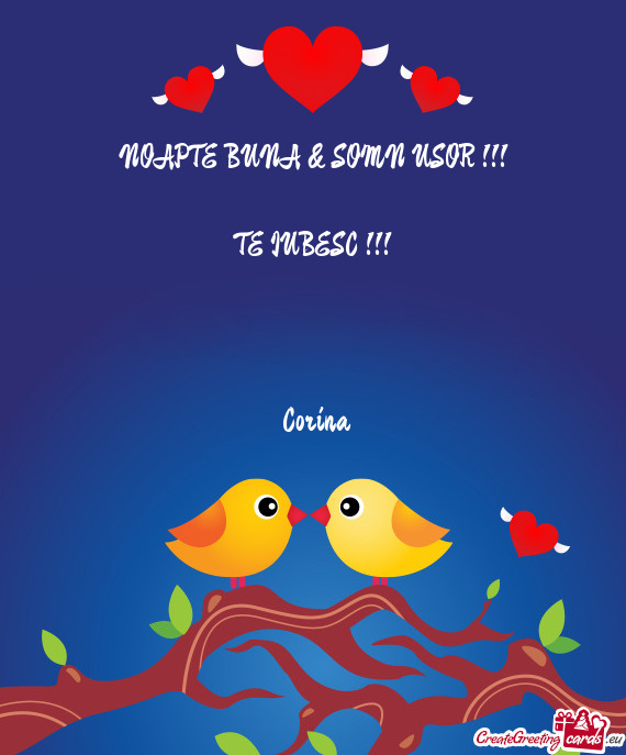 NOAPTE BUNA & SOMN USOR !!!    TE IUBESC !!!         Corina