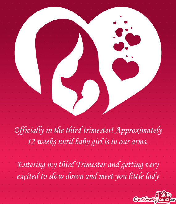 Officially in the third trimester! Approximately 12 weeks until baby girl is in our arms