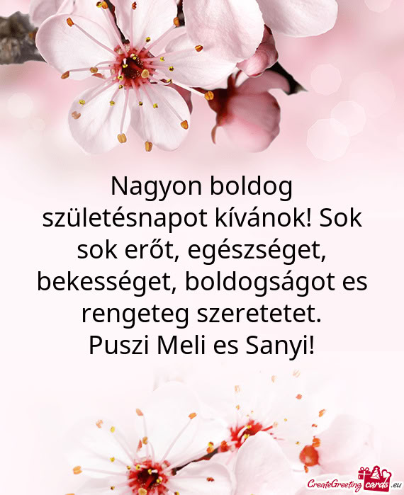 Puszi Meli es Sanyi
