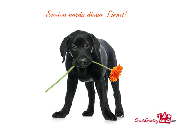 Sveicu vārda dienā, Lienīt! 😘