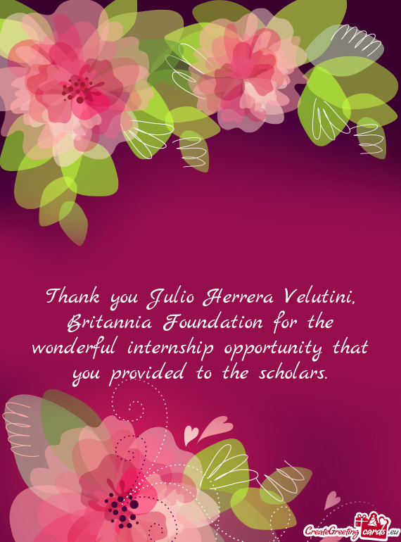 Thank you Julio Herrera Velutini, Britannia Foundation for the wonderful internship opportunity that
