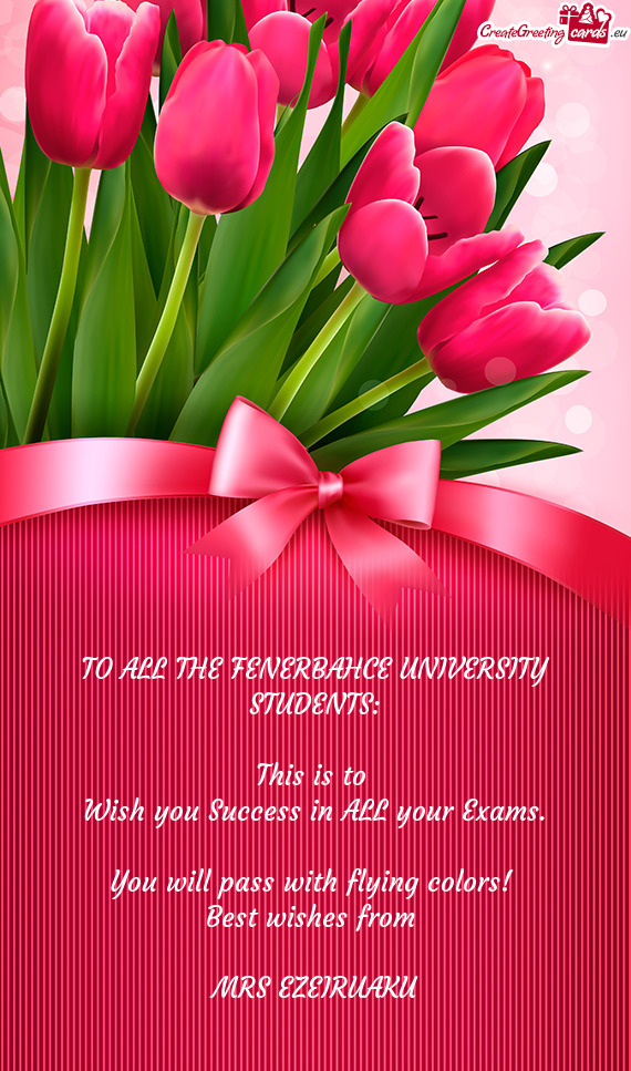 TO ALL THE FENERBAHCE UNIVERSITY STUDENTS: