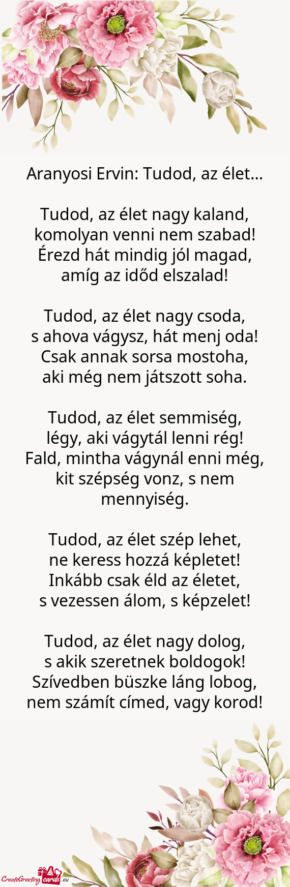 Tudod, az élet nagy kaland