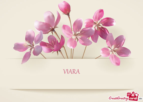 VIARA