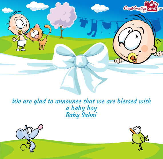 We are glad to announce that we are blessed with a baby boy
 Baby Sahni