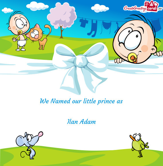We Named our little prince as      Ilan Adam
