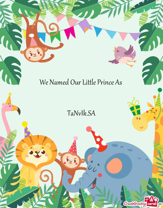 We Named Our Little Prince As       TaNvIk.SA