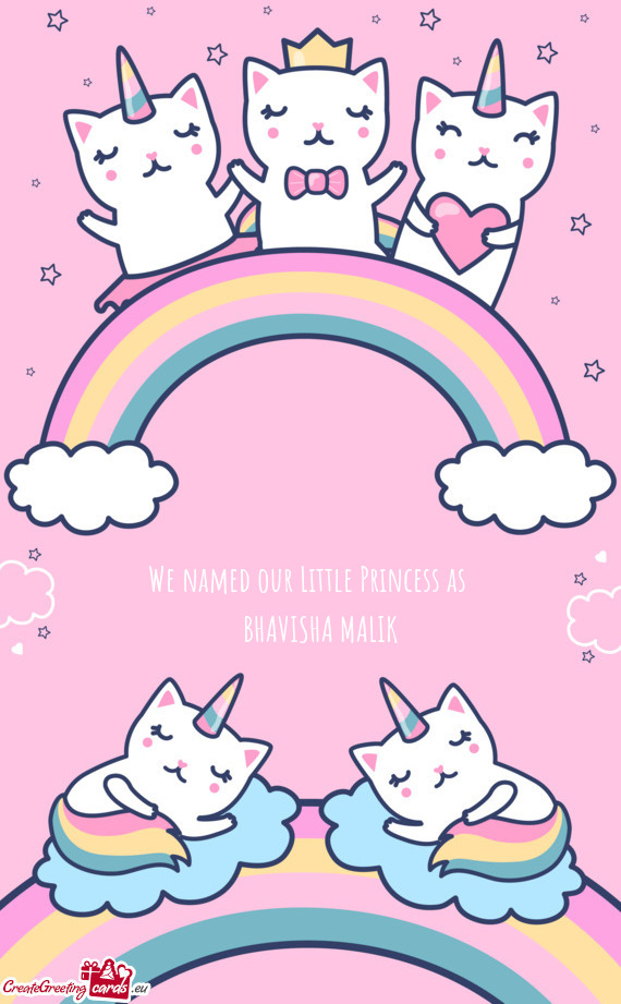 We named our Little Princess as  BHAVISHA MALIK